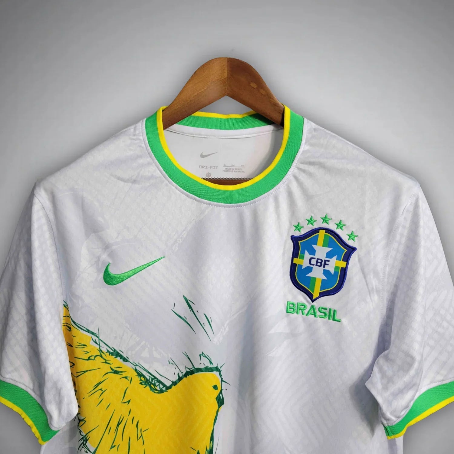 BRAZIL CANARINHO FLIGHT 2025 | SPECIAL EDITION